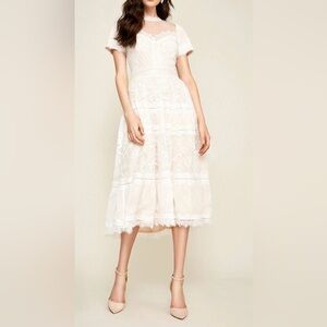 TADASHI SHOJI Camilla Tea Length Lace Dress AWI17173MD Ivory Petal NWT